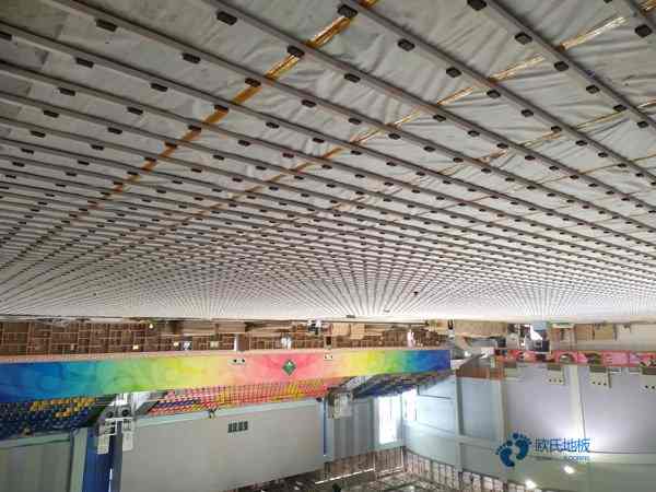 定做運(yùn)動(dòng)場館地板品牌排行榜2